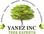 Yanez Tree Service Experts